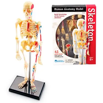 Esqueleto 23 cm 41 piezas