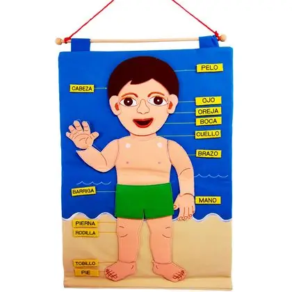 Cuerpo humano de género