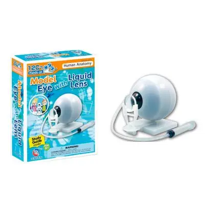 Modelo de globo ocular armable