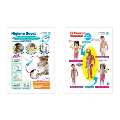 Láminas cuerpo humano / higiene bucal