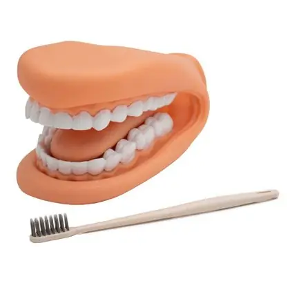 Modelo de mandíbula con lengua