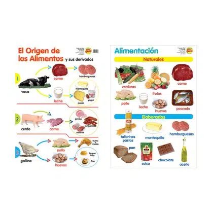 Láminas alimentación y origen de los alimentos